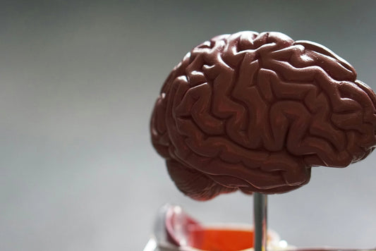 Brain Health: Enhancing Your Mind and Well-Being